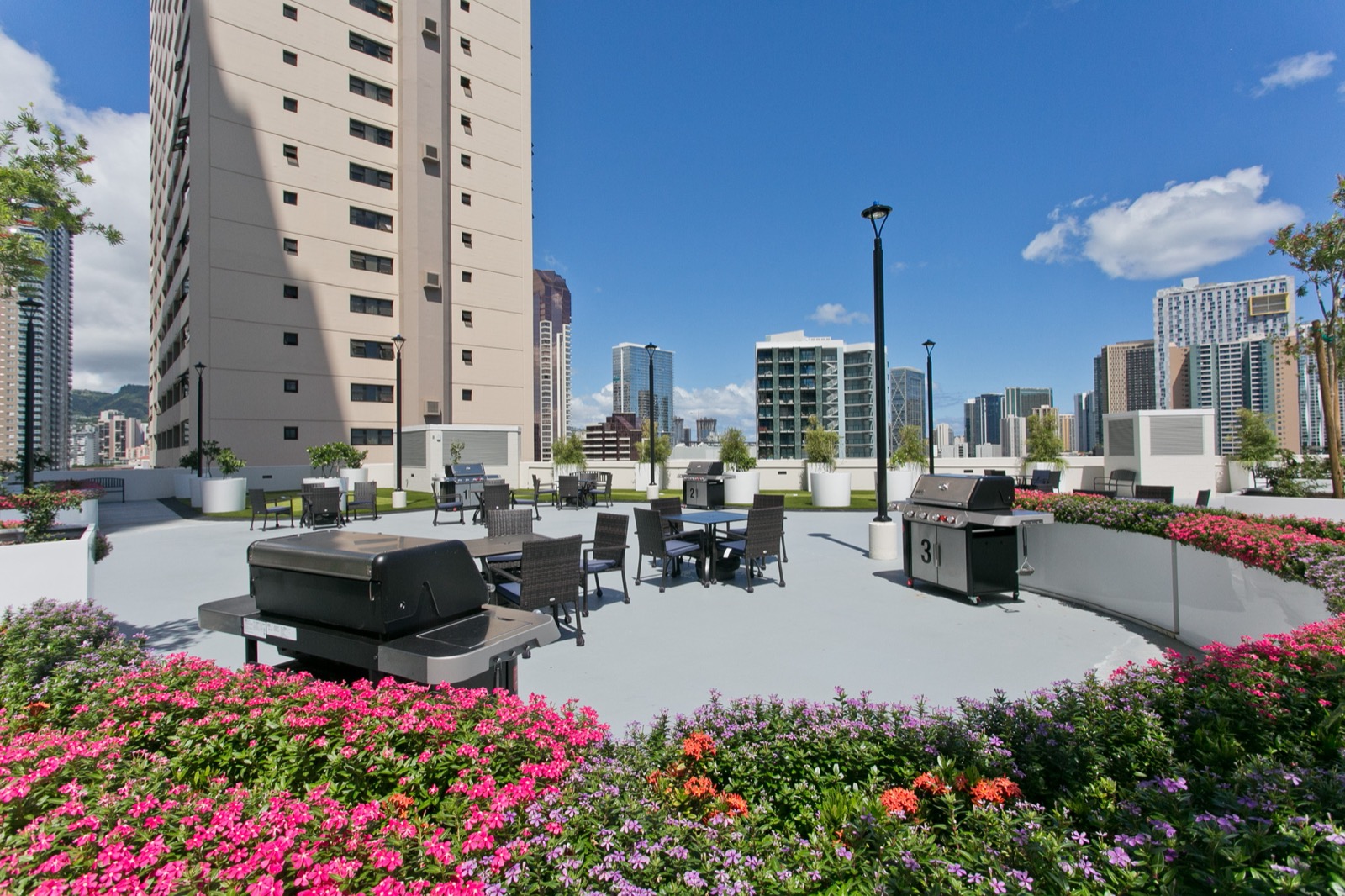 Rooftop BBQ area with gardens